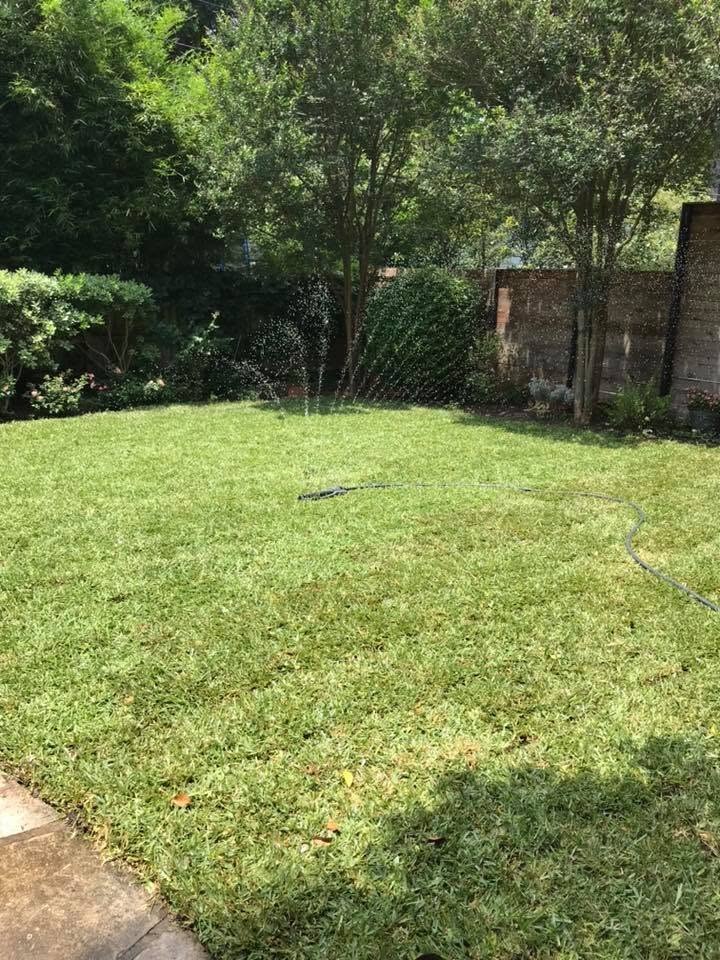 Same backyard with a newly installed green lawn being watered